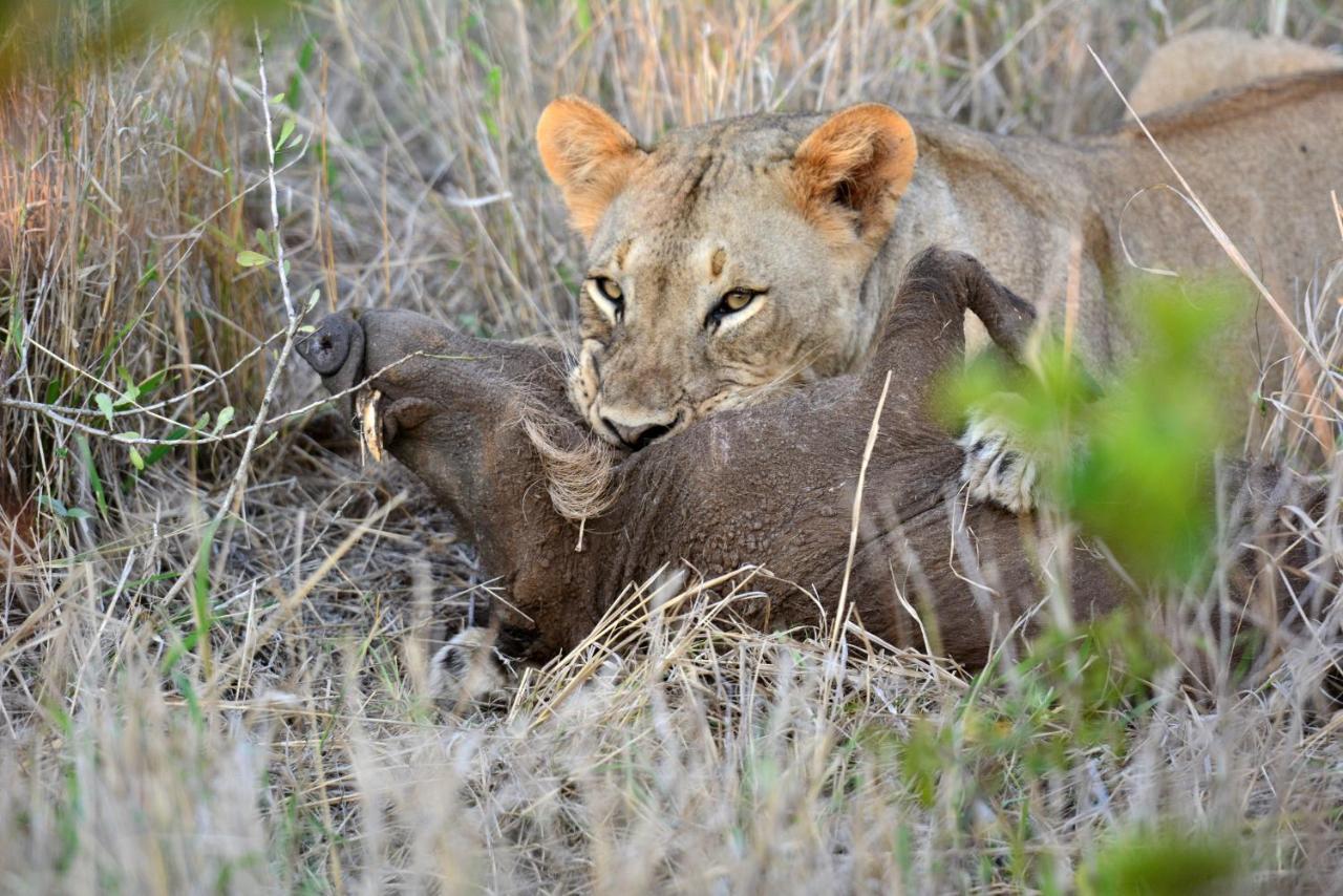 Bayala Private Safari Lodges Hluhluwe Exterior foto